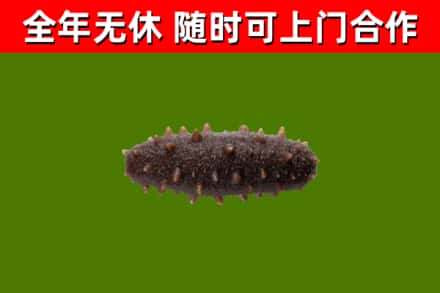 洛隆烟酒回收干海参.jpg
